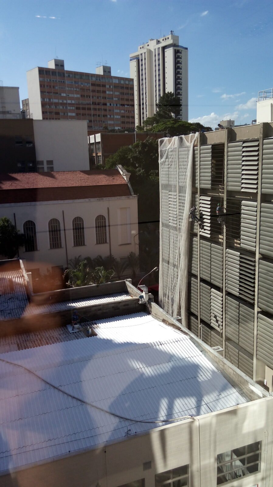 Foto feita com luz natural da tarde