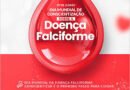 No Dia Mundial da Doença Falciforme, IA no WhatsApp leva informação, autocuidado e apoio gratuito a pacientes no Brasil